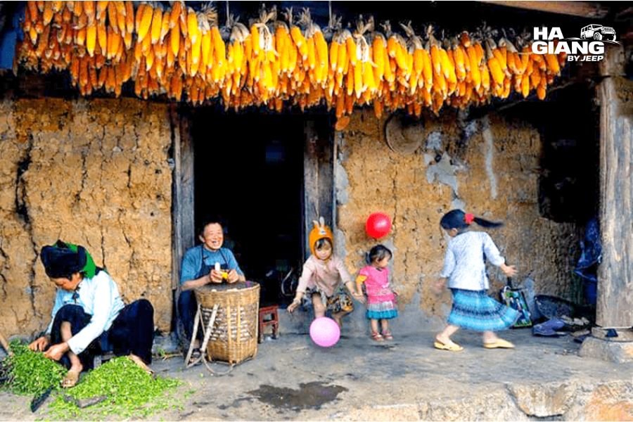 Corn drying on the wall of a stone house during the September harvest in Ha Giang