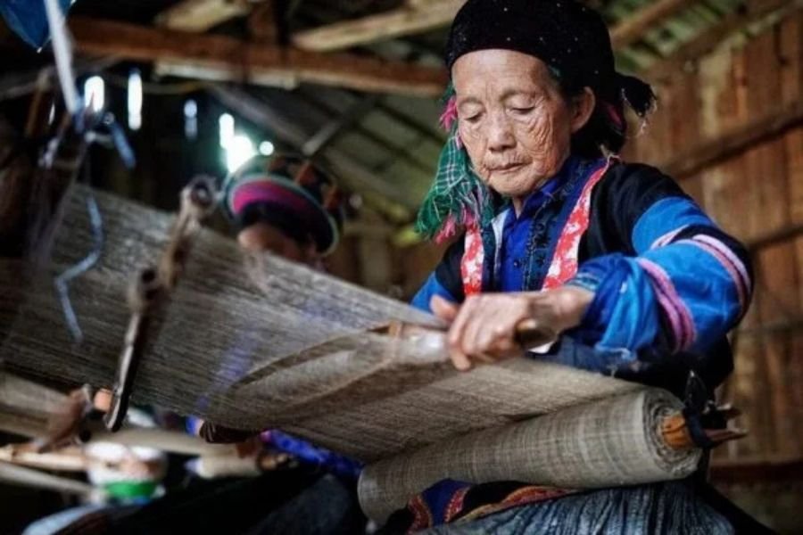 Finished indigo hemp cloth drying on bamboo poles in Ha Giang