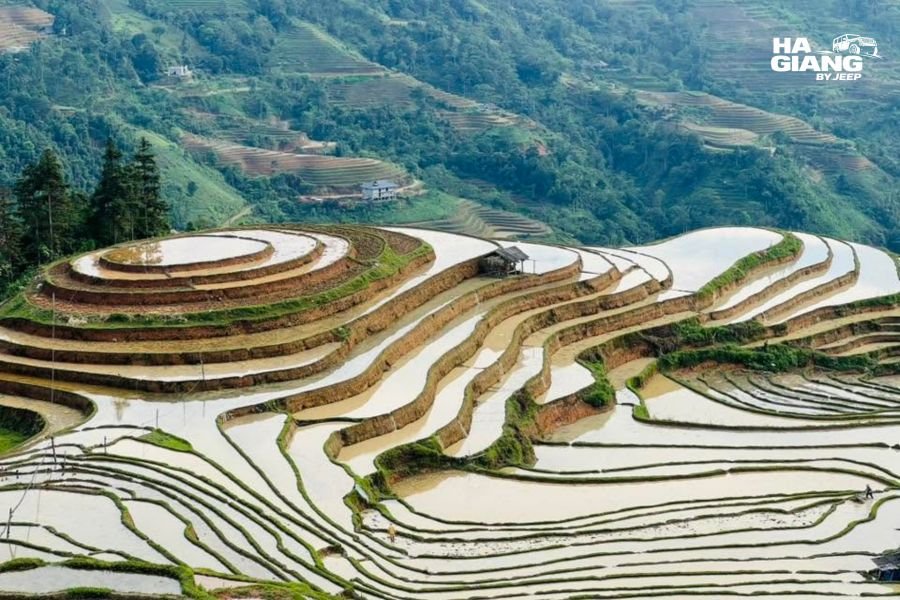 Flooded Hoang Su Phi rice terraces reflecting the sky during water pouring season