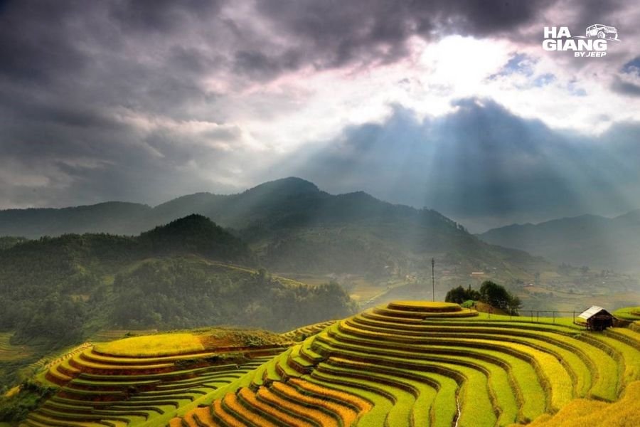 Low side light on the curves of golden rice terraces in Ha Giang at sunset