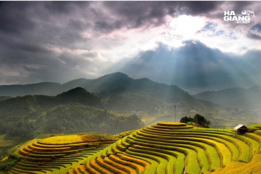 Panoramic sunset over layered Hoang Su Phi rice terraces