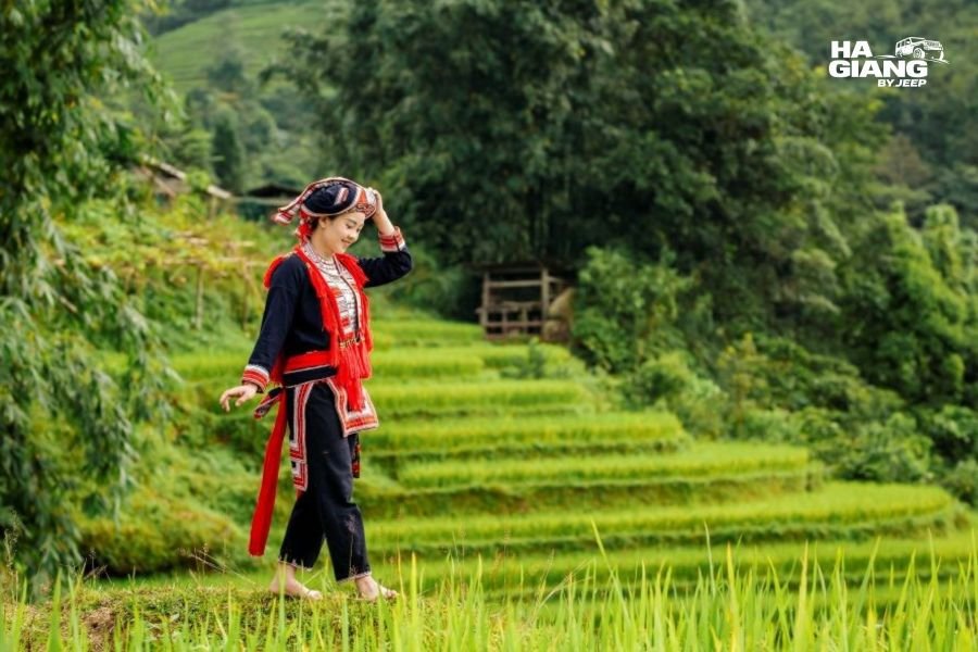 Red Dao woman working in the rice terraces of Hoang Su Phi, Ha Giang