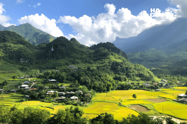Ripe autumn rice in a Cao Bang valley below limestone peaks
