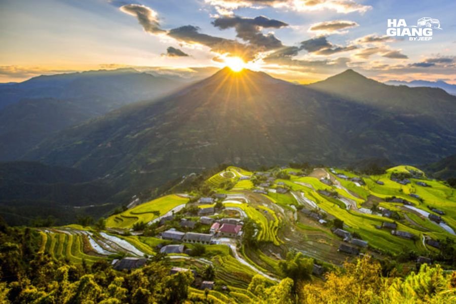 Steep rice terraces at Ban Phung in Hoang Su Phi at the start of the September harvest