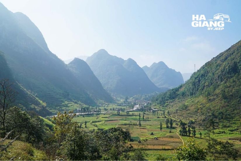 Stone houses and flowers in the Sung La valley in Ha Giang