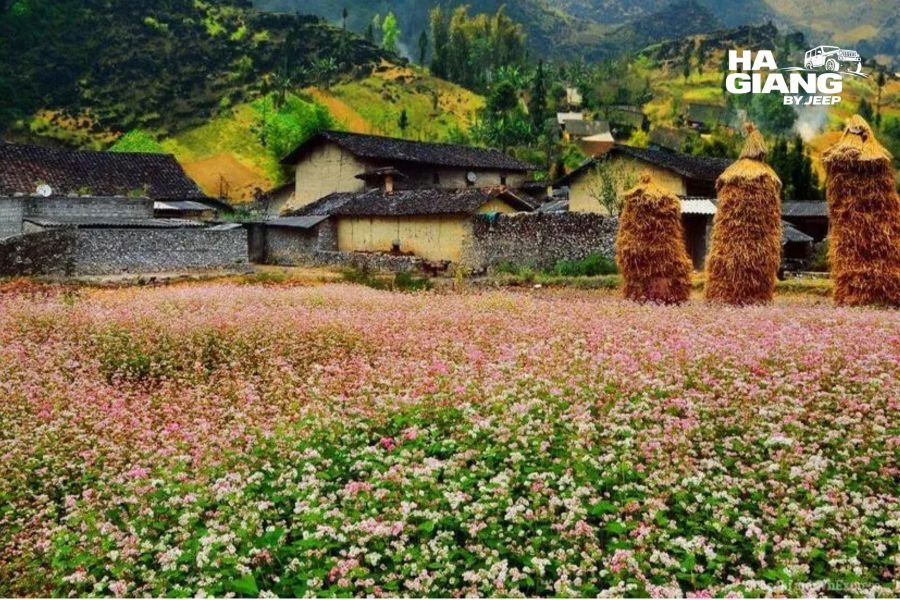 Sung La valley near Tham Ma Pass in Ha Giang