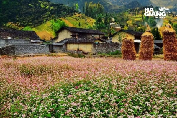 Stone houses in Sung La valley on the Ha Giang Loop