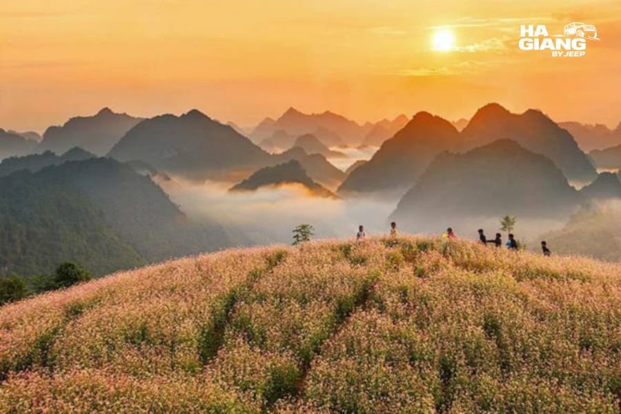 Sunset over Sung La Valley in Ha Giang
