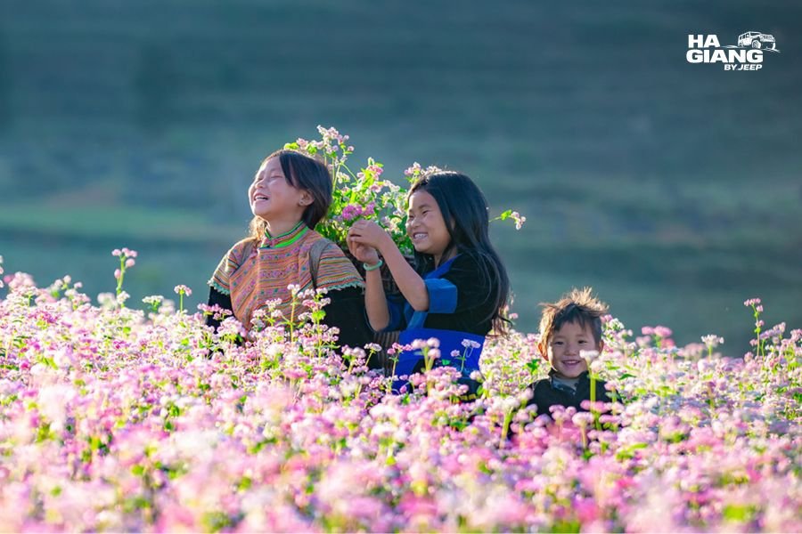 Traditional performances at the buckwheat flower festival in Dong Van, Ha Giang