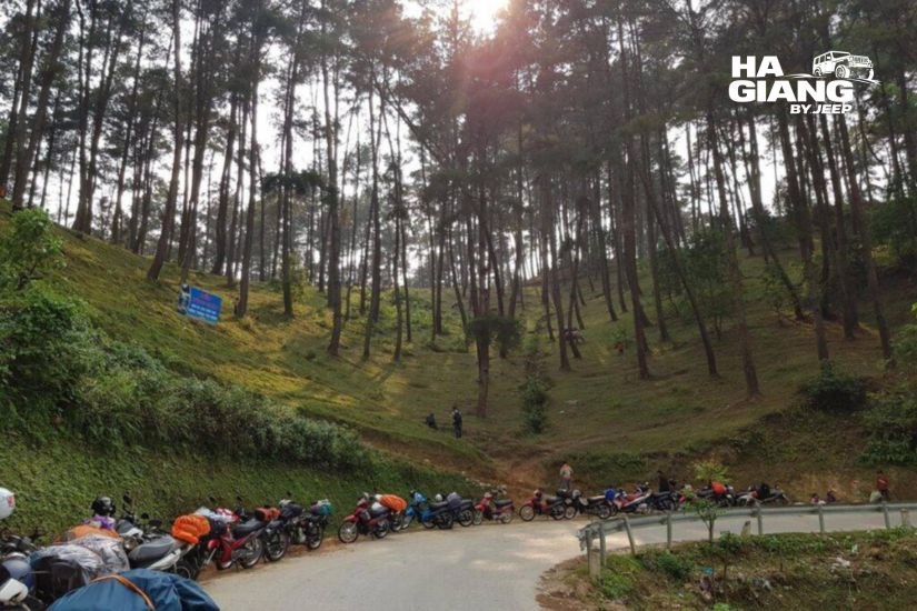 Winding road and pine hills near Yen Minh on the Ha Giang Loop