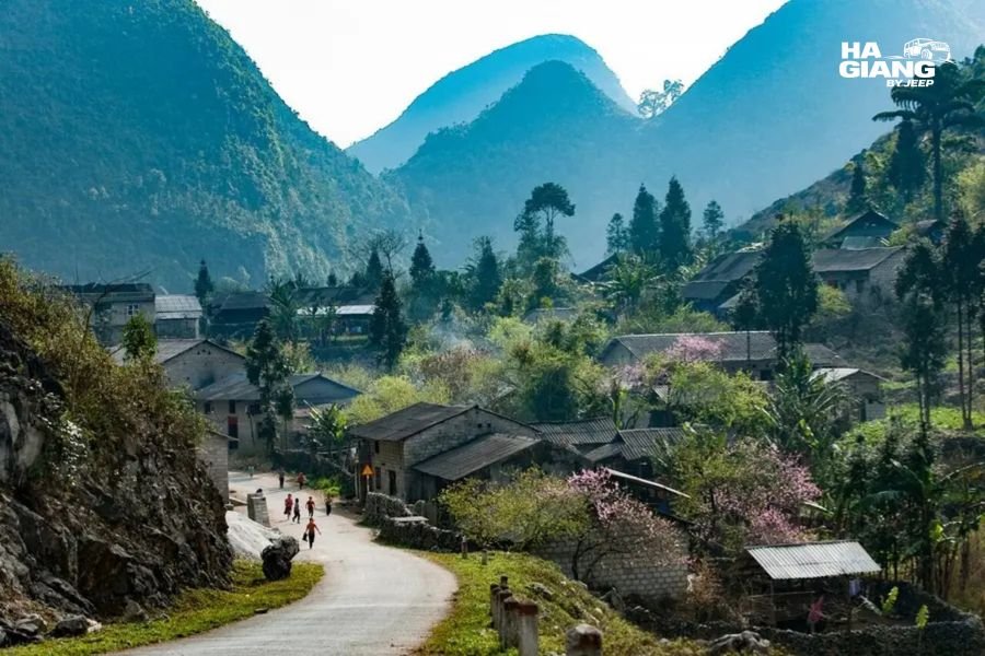 A Hmong village and its maize plots seen from a viewpoint in Ha Giang