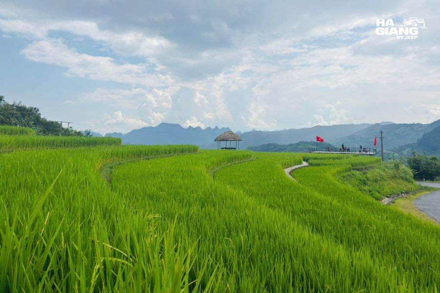 Ha Giang Loop photography at sunrise: a photographer shooting from an open top jeep at Ma Pi Leng