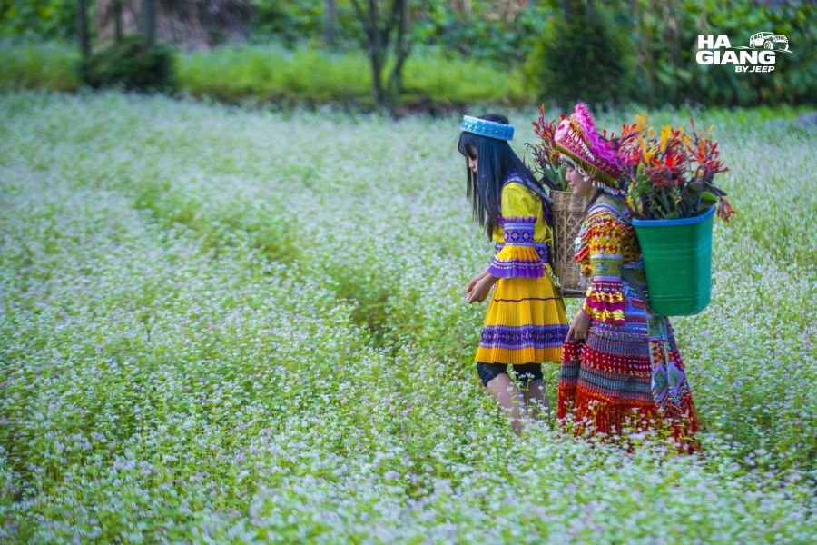 Hmong culture in Ha Giang: a woman walking a mountain road with maize planted in the limestone behind