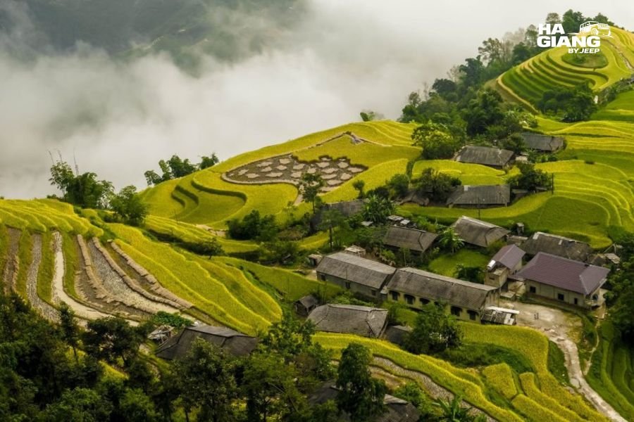 Sapa trekking through rice terraces on Ha Giang to Sapa journey