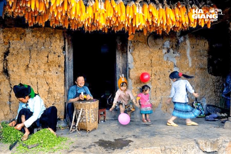 Corn drying at a stone walled house on the Dong Van Karst Plateau in Ha Giang