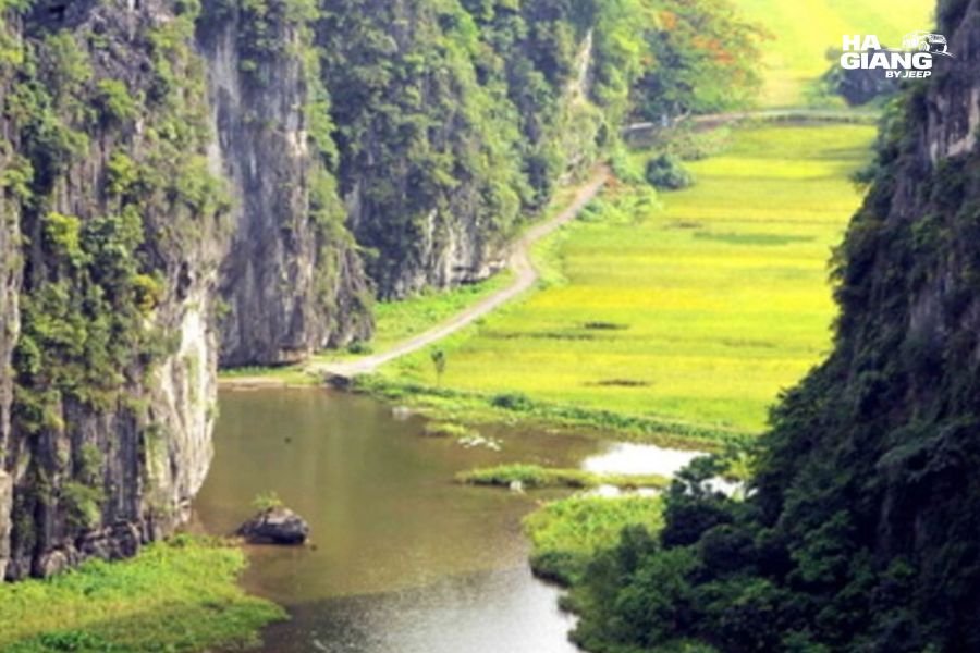 Cycling past rice fields and limestone peaks in Ninh Binh