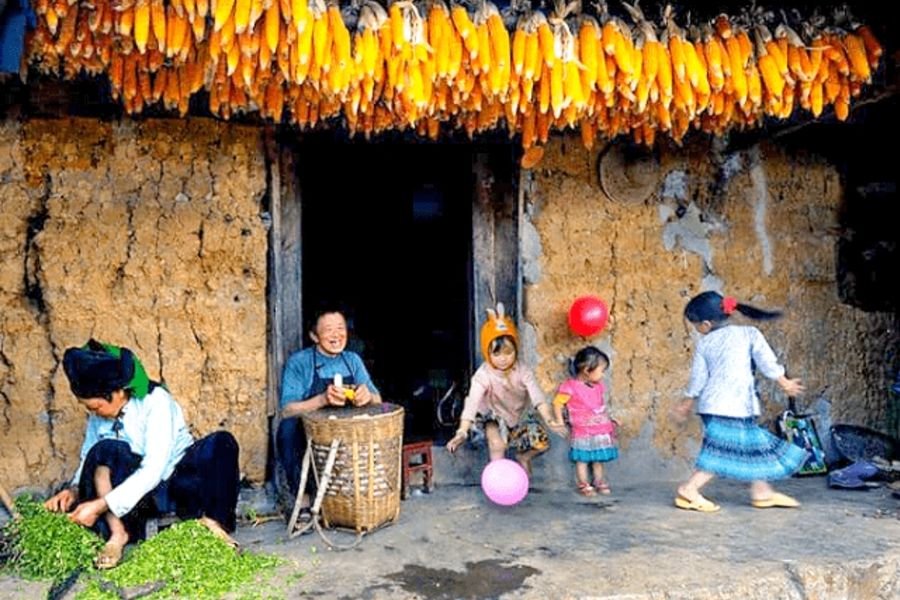 Mountain corn drying outside a stone house on the Dong Van Karst Plateau in Ha Giang