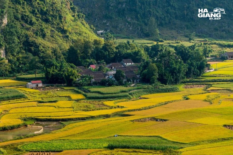 Phong Nam Valley in Cao Bang with stilt houses, rice fields and limestone peaks