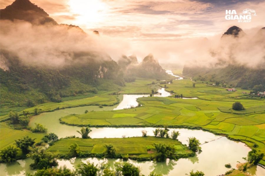 Rice fields turning gold in Phong Nam Valley, Cao Bang, in the autumn harvest season