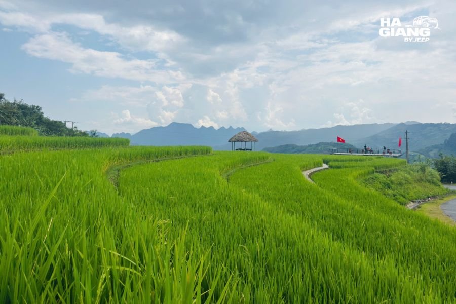 Terraced fields and a hillside village farmed by communities in Ha Giang
