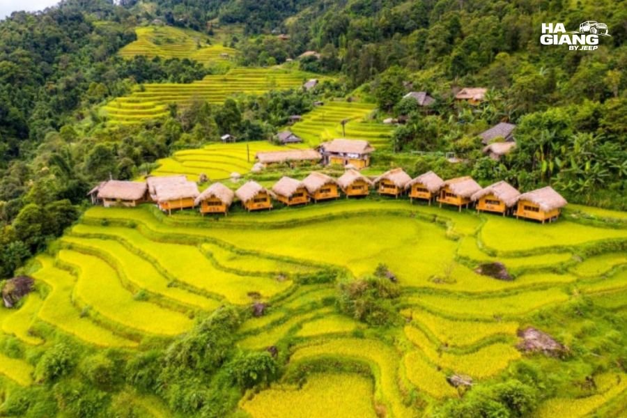 Terraced hillsides at Hoang Su Phi in western Ha Giang