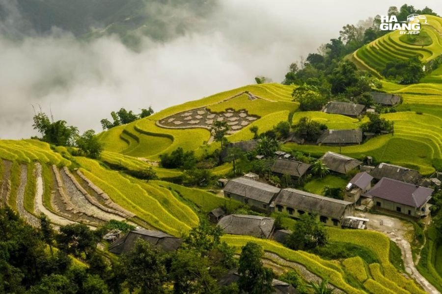 Terraced hillsides at Hoang Su Phi in western Ha Giang