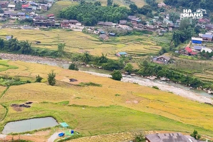 Terraced rice fields in the Muong Hoa Valley near Sapa