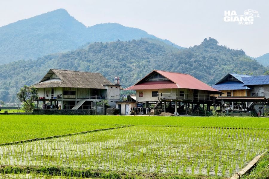 Valley village with wooden stilt houses, home to one of the ethnic groups of Ha Giang