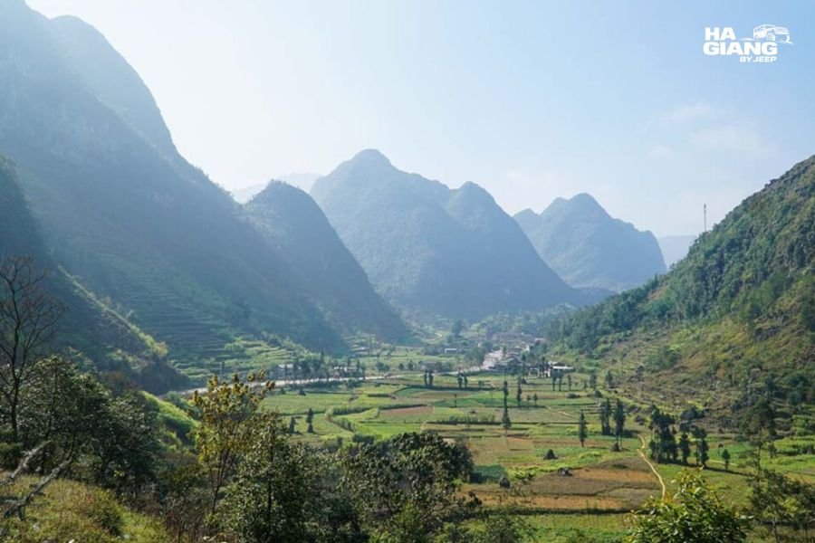 Sung La Valley terraced fields from above on the Ha Giang Loop